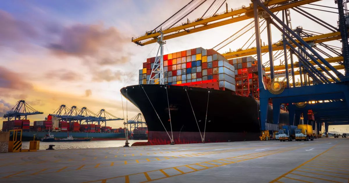 A.H Exim - Premium Cashew Exporter